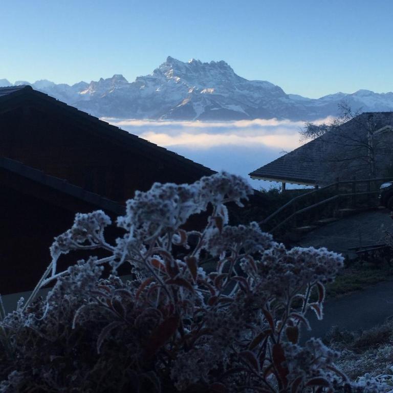 Cozy chalet with panoramic views in Leysin - Chalet - 18