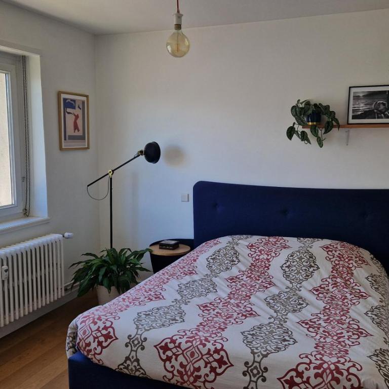 Charmante chambre à proximité des institutions européennes - Chambre Double - 1