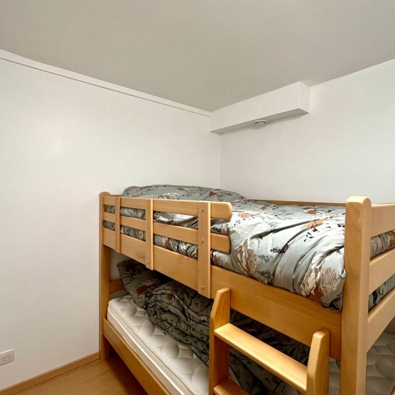Le Balcon du Géant à Combloux - Appartement - 26