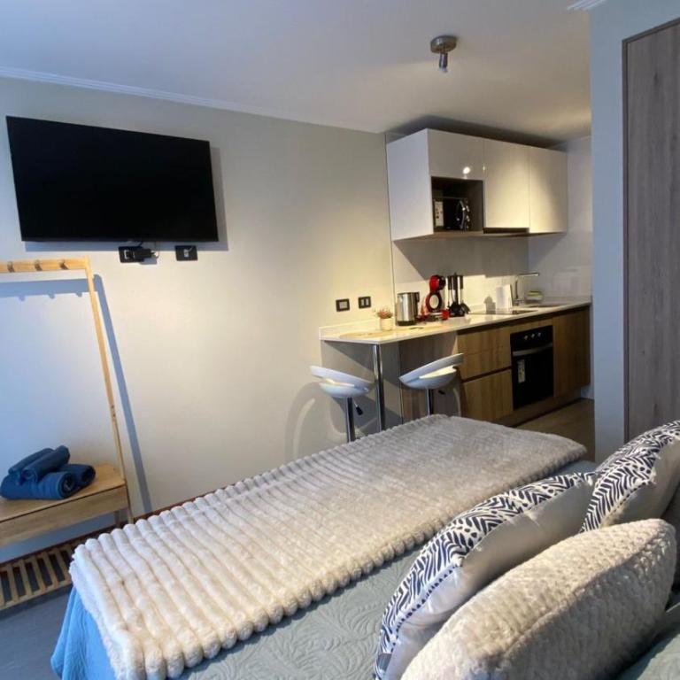 Nice studio in Peninsula de Cavancha - Apartamento de 1 dormitorio - 3