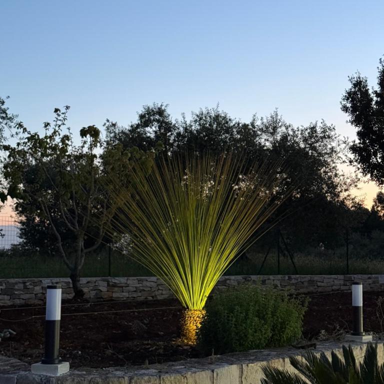 I Trulli di Anna - Camera Matrimoniale con Bagno Privato - 2