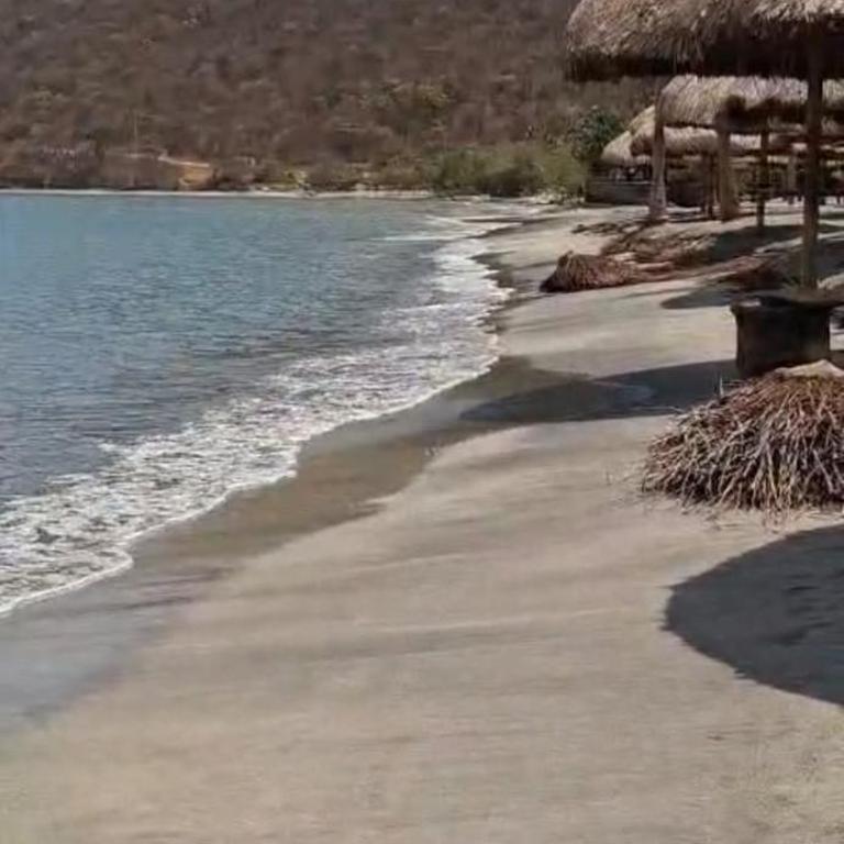 Nuevo y lujoso apartamento en Cabo Tortuga - Apartamento de 1 dormitorio - 53