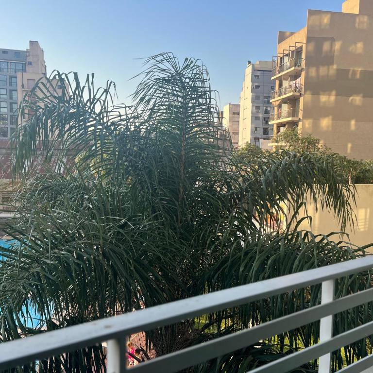 Quartier San Telmo - Apartamento de 1 dormitorio con vistas a la piscina - 10