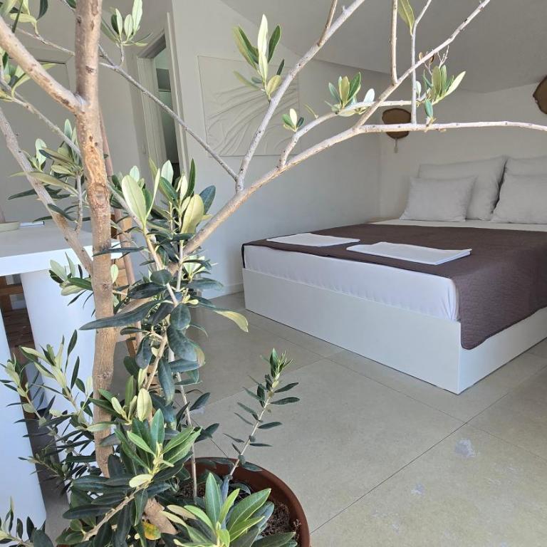 Vele House Walk to Beach - Double Room with Balcony and Sea View - 10