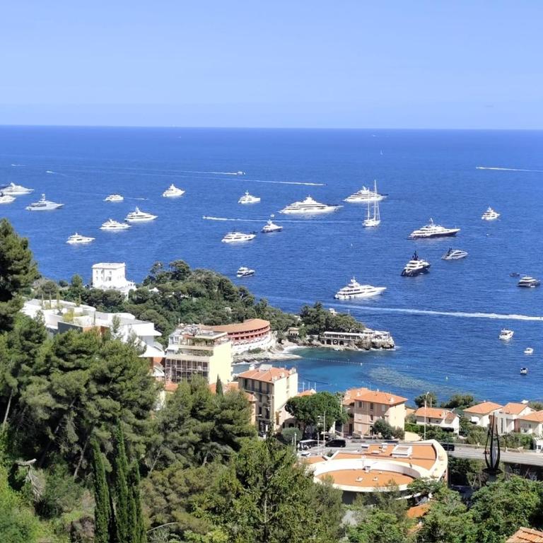 Beautiful Sea View Home Overlooking Monaco - Appartement 1 Chambre - 8