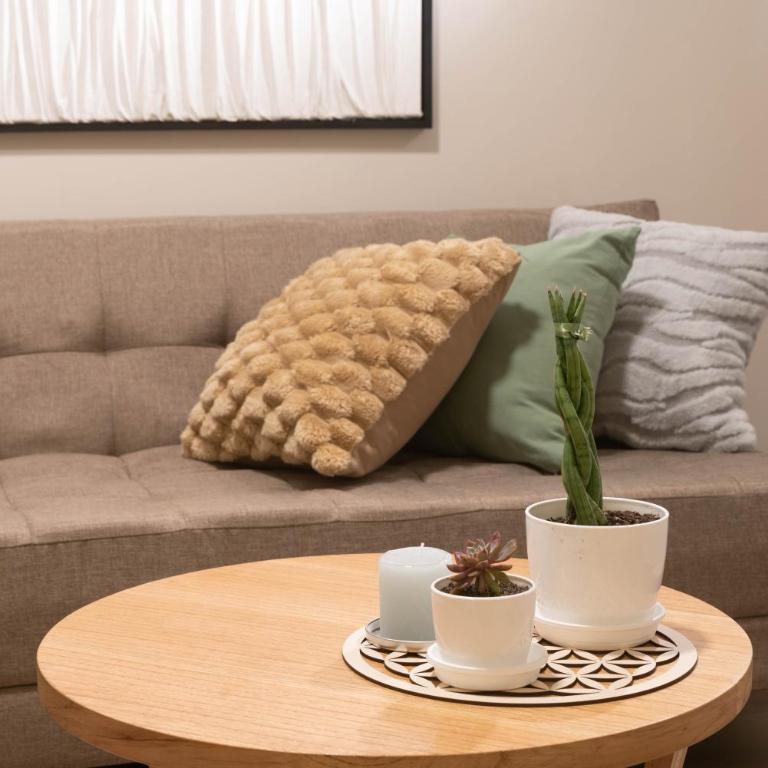 Martin Suites 1 Dormitorio Equipado en Barrio Martin - Apartamento de 1 dormitorio - 11