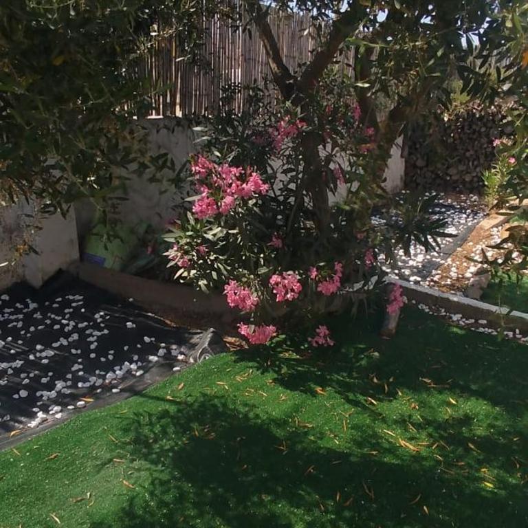 Casa Ribes Rooms, l'angolo tranquillo alle porte della città - Camera Matrimoniale con Bagno Privato - 1