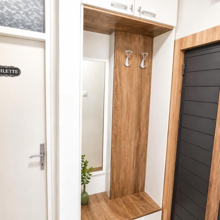Apartman Fika Vrnjačka Banja - Appartement 1 Chambre - 16