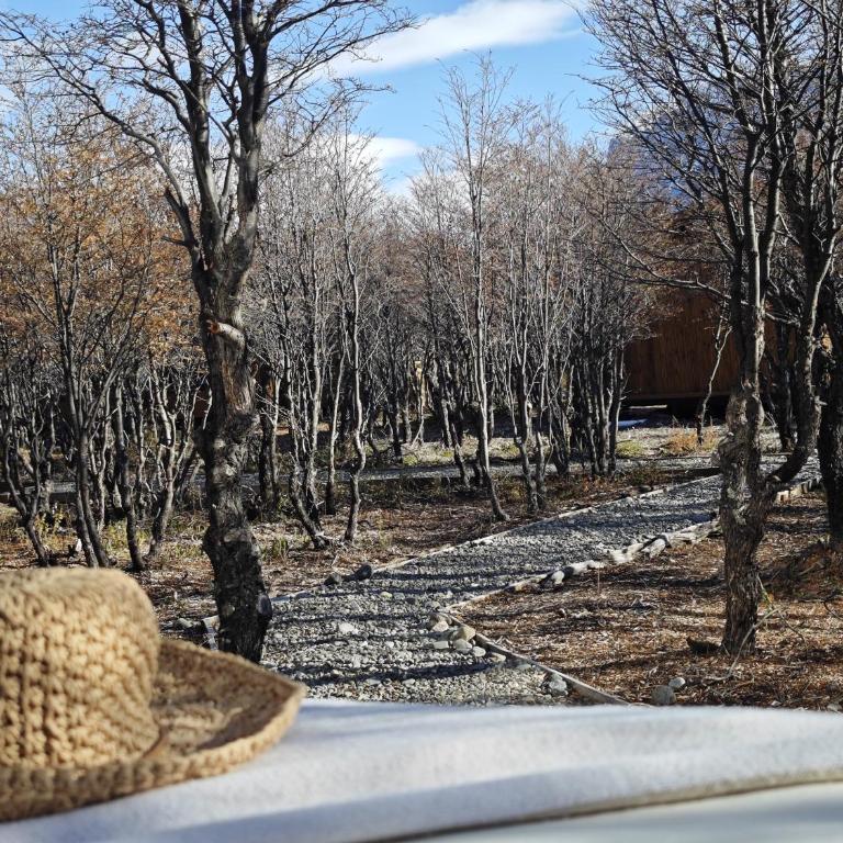 Viento de Glaciares - Double or Twin Room - 9