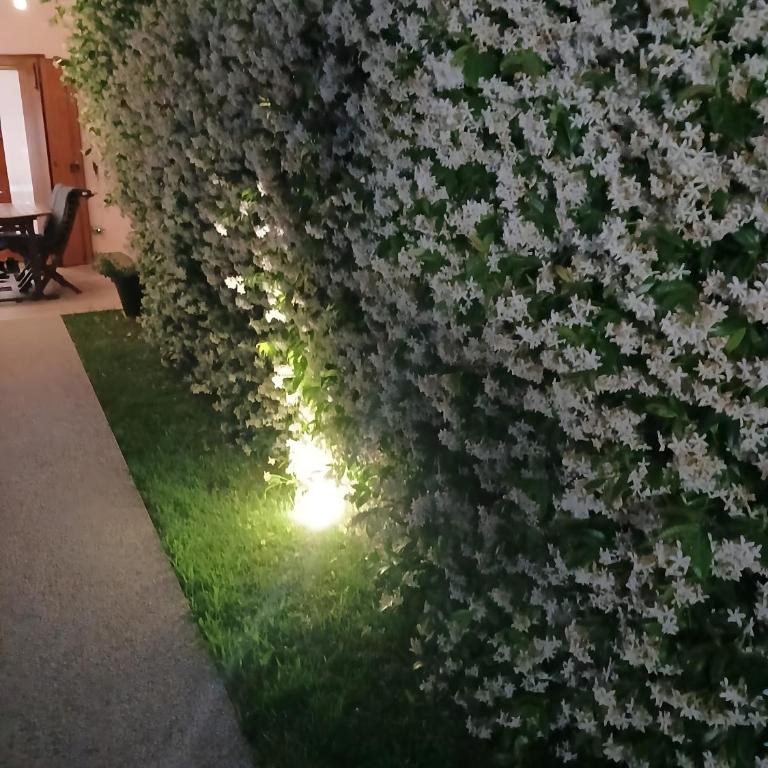 Appartamento I Vigneti del Garda - Appartamento con 1 Camera da Letto e Vista Giardino - 35