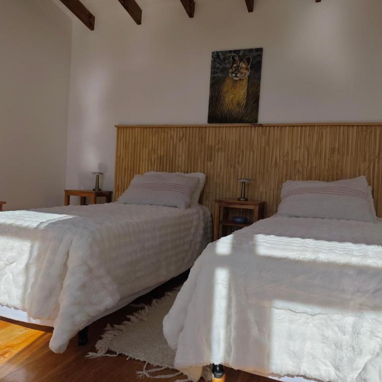 Viento de Glaciares - Double or Twin Room - 31