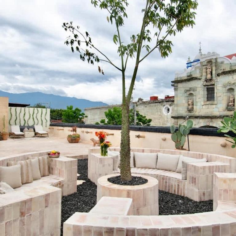 Most Beautiful Oaxaca City House - Apartamento de 1 dormitorio - 1