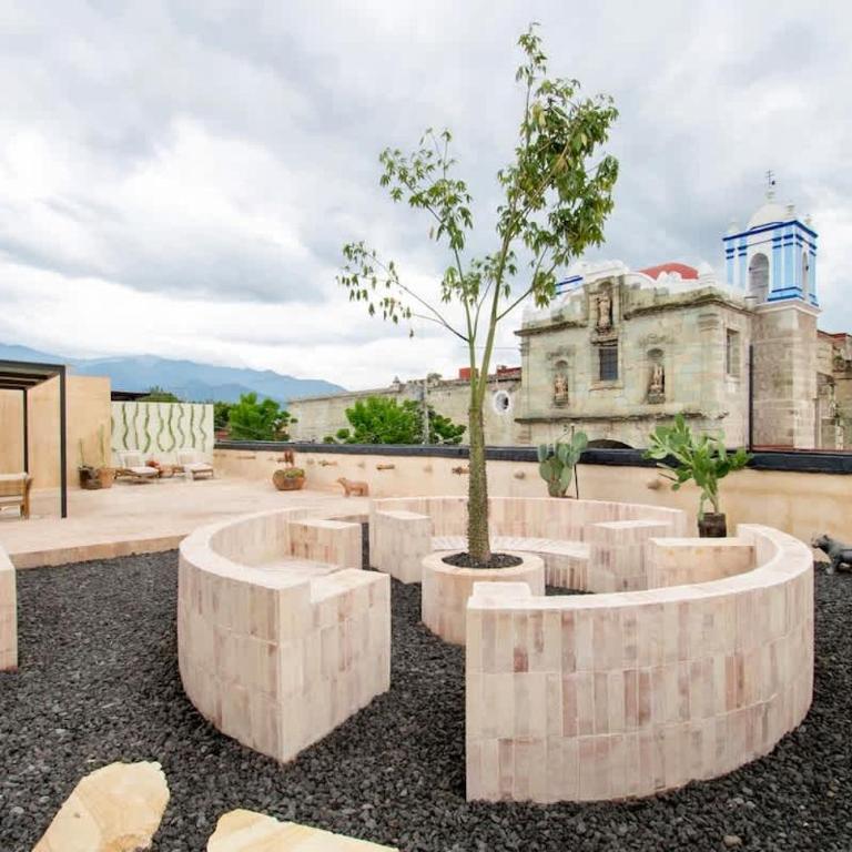 Most Beautiful Oaxaca City House - Apartamento de 1 dormitorio - 56