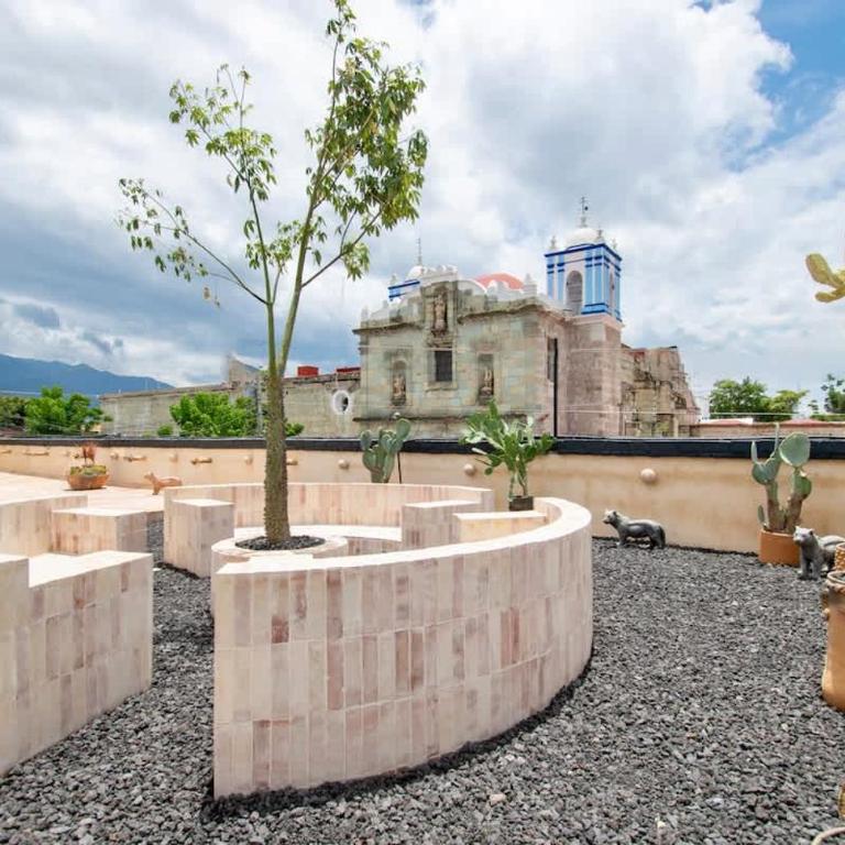 Most Beautiful Oaxaca City House - Apartamento de 1 dormitorio - 59
