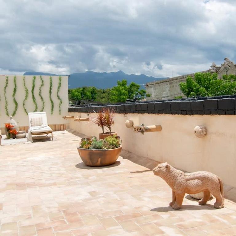 Most Beautiful Oaxaca City House - Apartamento de 1 dormitorio - 66