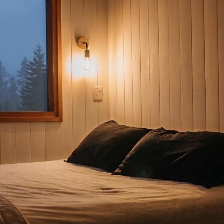 Casa Calvé Tiny House en el Bosque con Deck Privado San Martín de los Andes - Chalet de 1 dormitorio - 24
