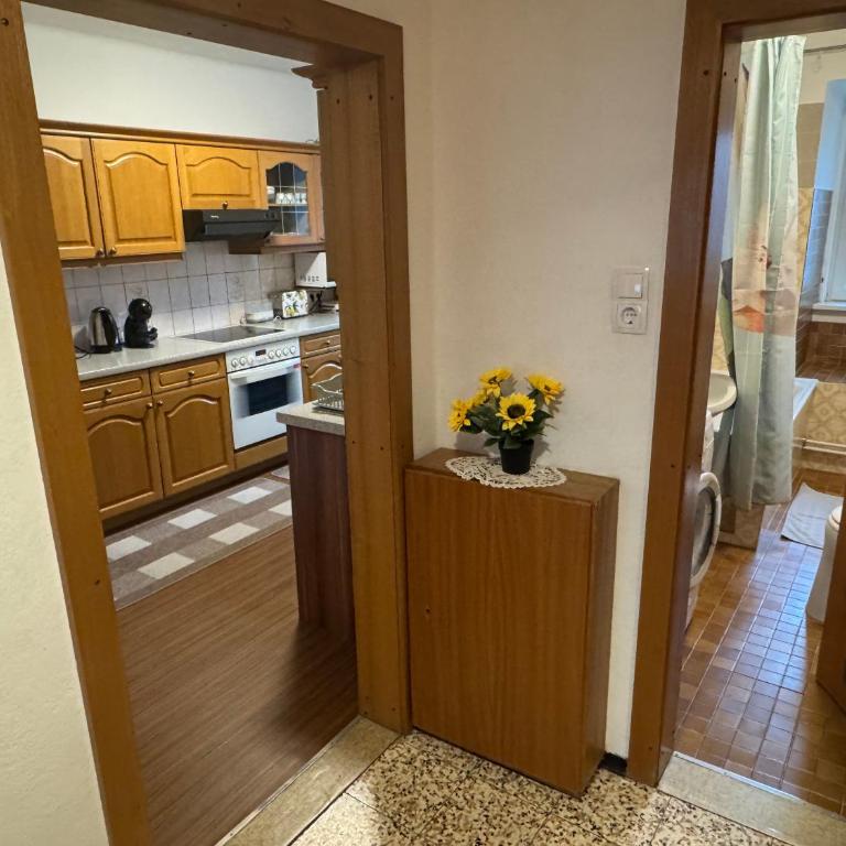 Steinadler Apartments Quiet Location Garden, Private Parking Pet Friendly - Appartement - Vue sur Jardin - 4