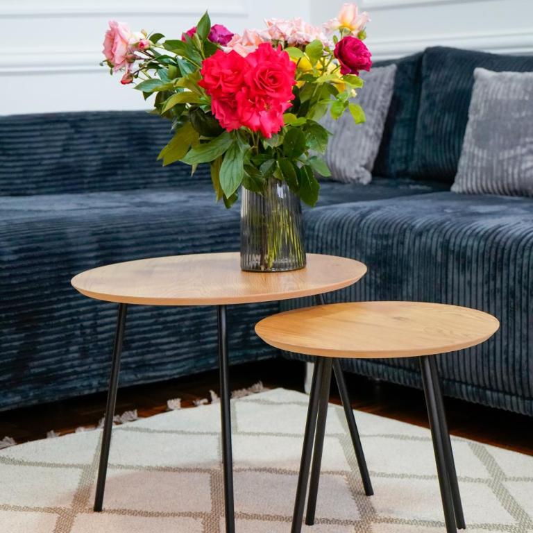 Sweet & Cozy Sarajevo Free Parking - Two-Bedroom Apartment - 14