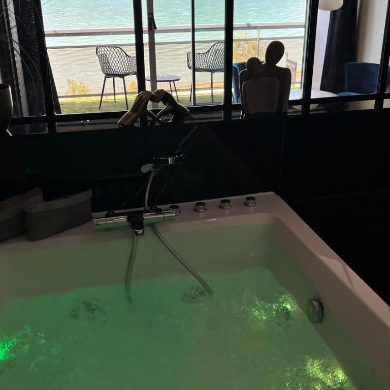 Cocon Chic Aix les bains - Apartment mit 1 Schlafzimmer - 7