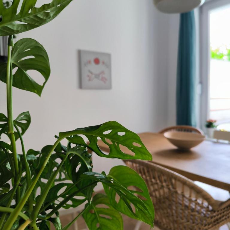 Belgrade Apartment with Large Private Terrace - Apartment mit 2 Schlafzimmern - 9