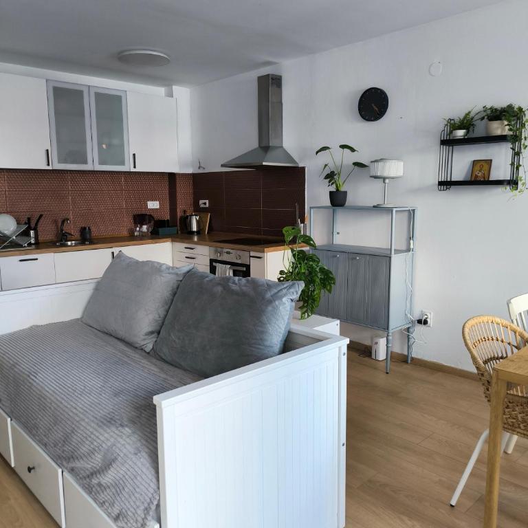 Belgrade Apartment with Large Private Terrace - Apartment mit 2 Schlafzimmern - 25