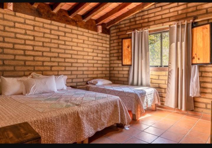 Jorullo Paradise - Chalet - 3