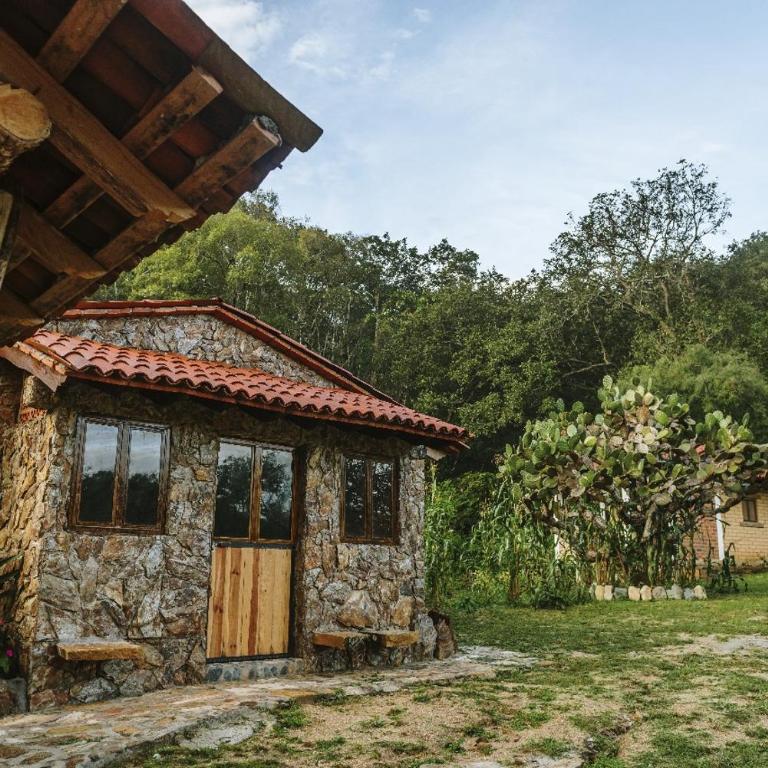 Jorullo Paradise - Chalet - 1