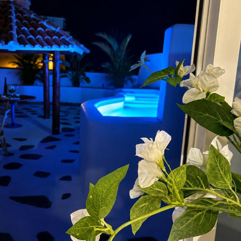 Casa rural con piscina climatizada - Casa con 1 dormitorio - 4