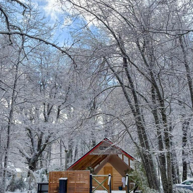 Casa del Árbol - Glamping - Double Room with Park View - 4