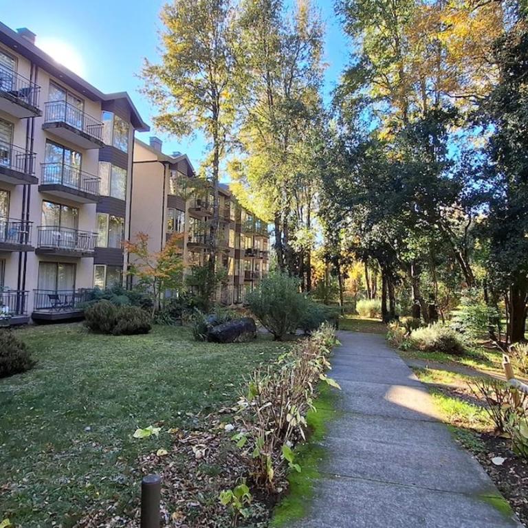Departamento en pucon full equipado con wifi, camino al volcan a 5 min del centro - One-Bedroom Apartment - 6