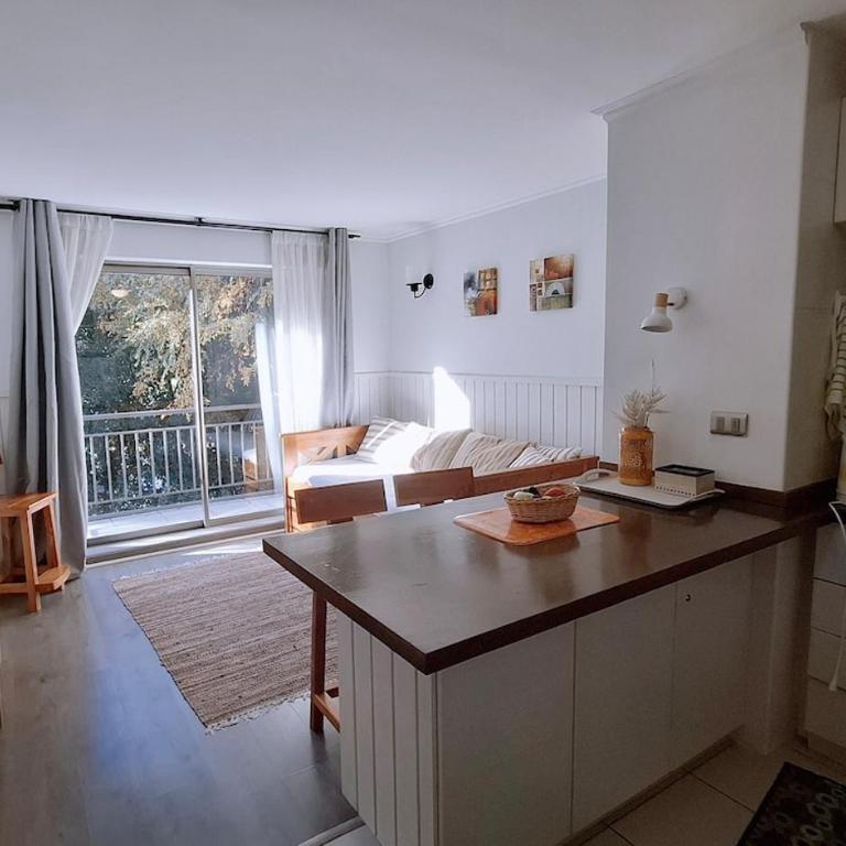 Departamento en pucon full equipado con wifi, camino al volcan a 5 min del centro - One-Bedroom Apartment - 21