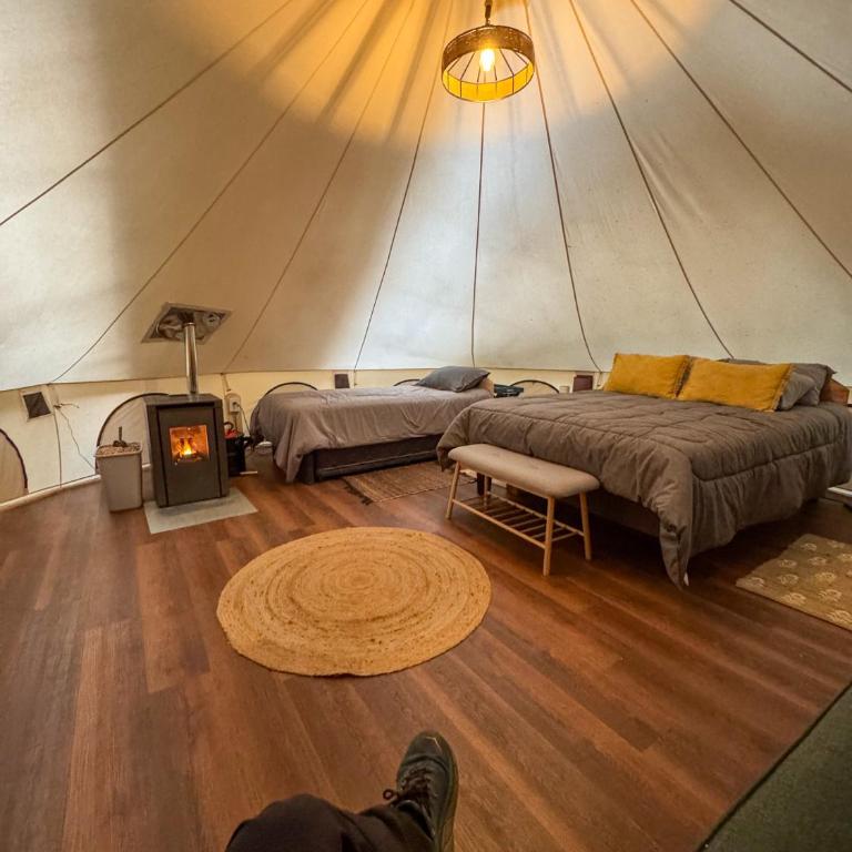 Casa del Árbol - Glamping - Double Room with Park View - 5
