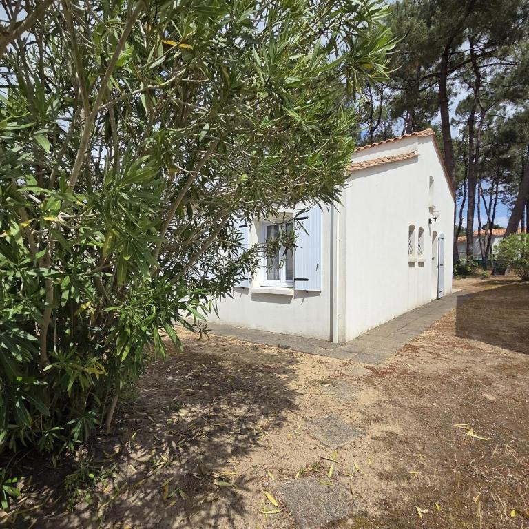 Maison à 400m de la plage - 6 pers. - FR-1-194-471 - Casa Vacanze - 31
