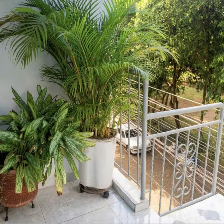 Alma Cali House - Three-Bedroom House - 11