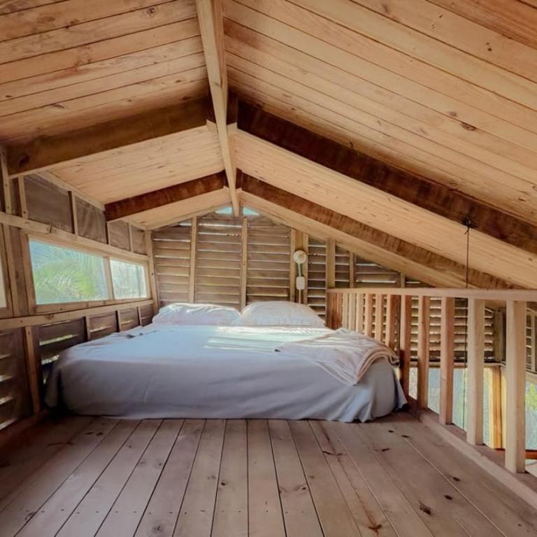 Casa en el Arbol - One-Bedroom House - 25