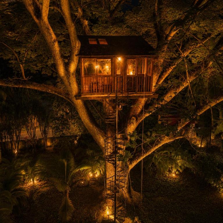 Casa en el Arbol - One-Bedroom House - 31
