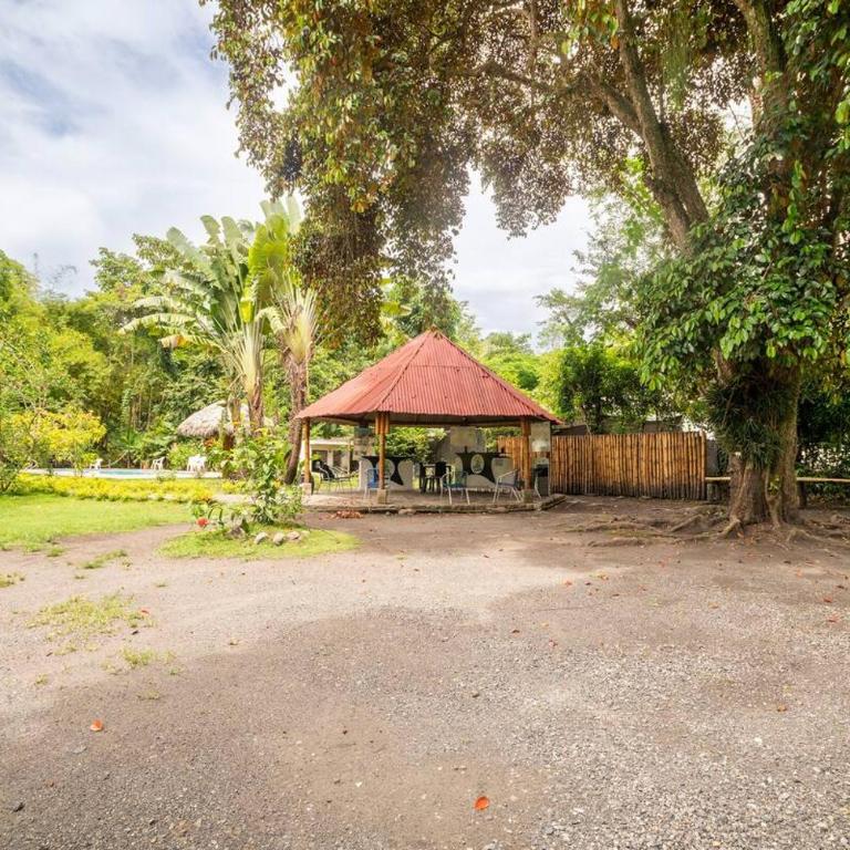 Casa en el Arbol - Villa - 31