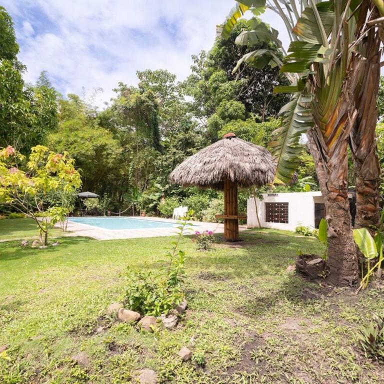 Casa en el Arbol - Villa - 35