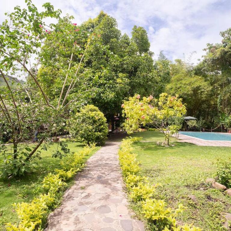 Casa en el Arbol - Villa - 37