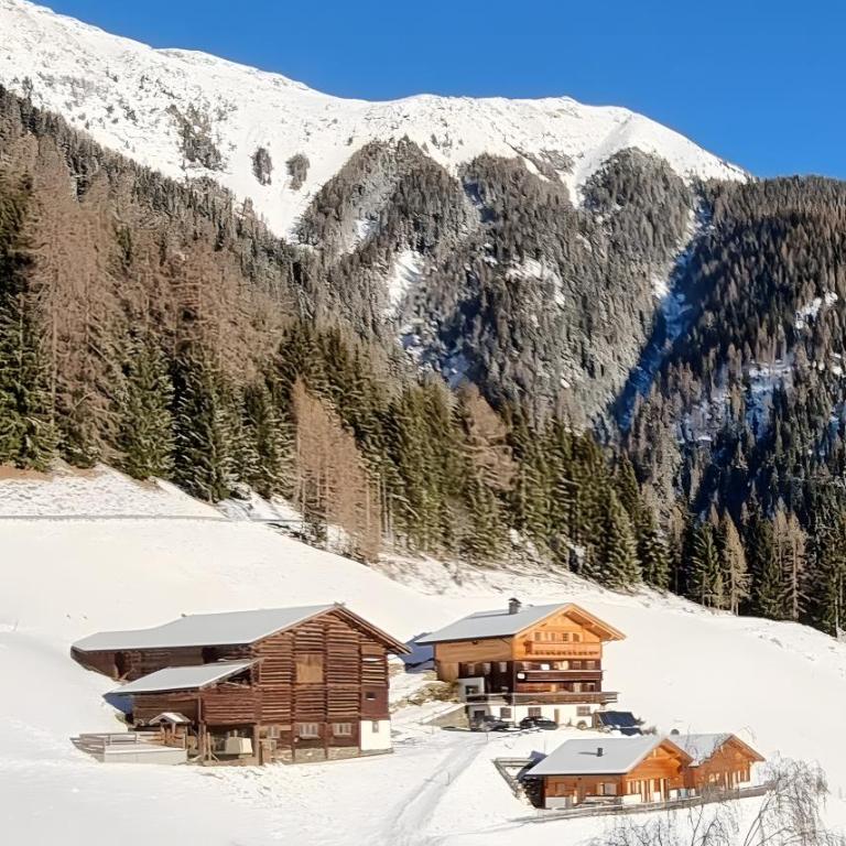 Niederhaushof - Chalet mit 2 Schlafzimmern - 25