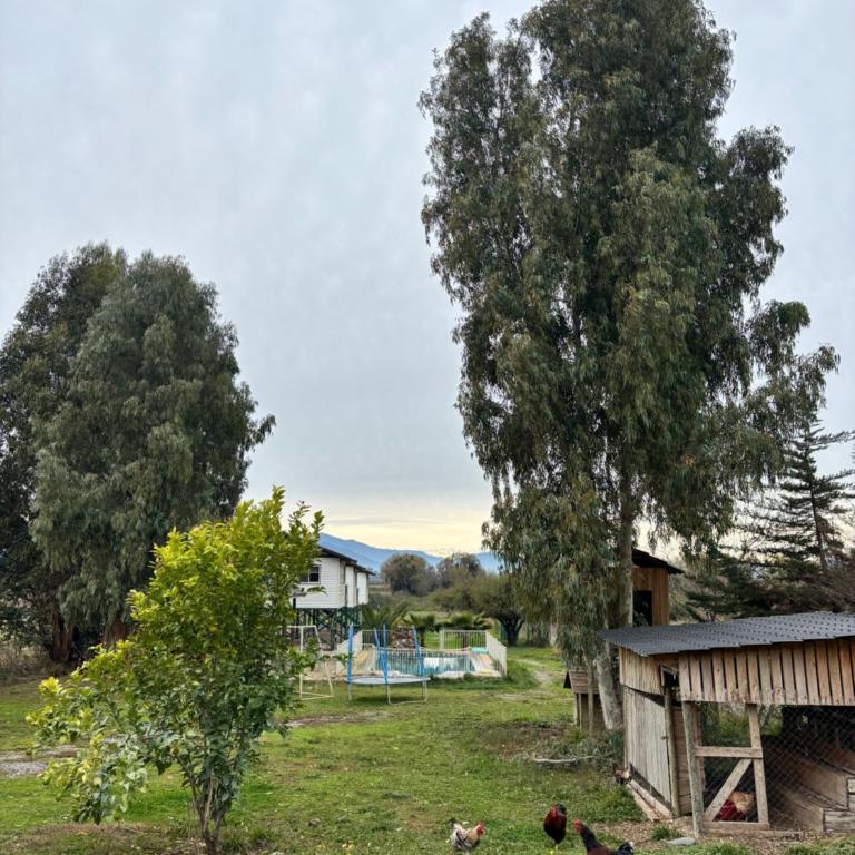 Los Cipreses de Colchagua - Two-Bedroom Apartment with Pool View - 4