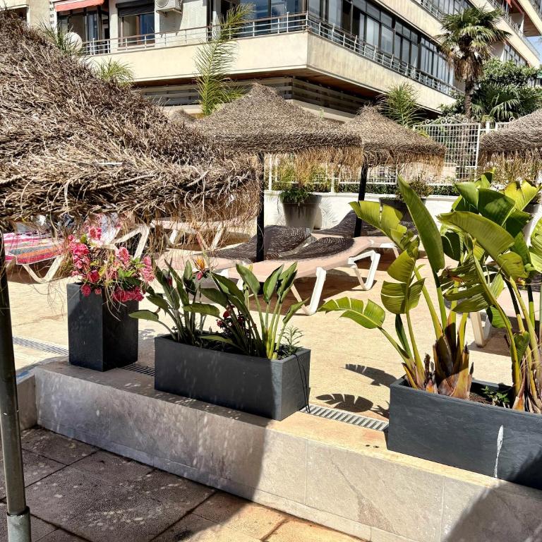 Nogalera 110 City central 3 seasonal pools with bar - Apartamento de 1 dormitorio - 100