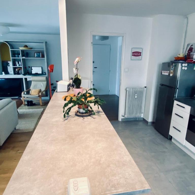 Grand T2 design rénové 75 m2 - Aix centre, lumineux - Parking sécurisé gratuit - Apartamento Superior de 1 dormitorio - 13