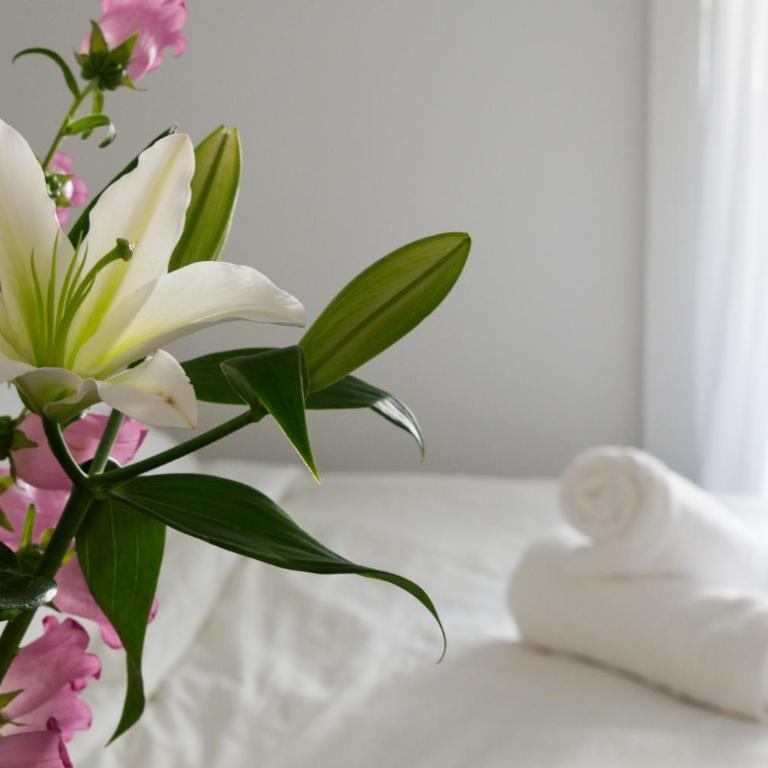 1 Min Walk to Beach Luxury Boutique Studio - Appartement 1 Chambre - 6