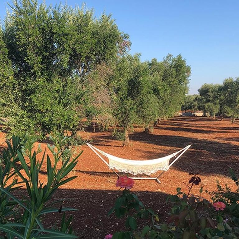 Casa e Trullo 57 Oliviers - Villa con Piscina Privata - 29