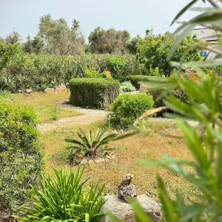 Casa e Trullo 57 Oliviers - Villa con Piscina Privata - 19