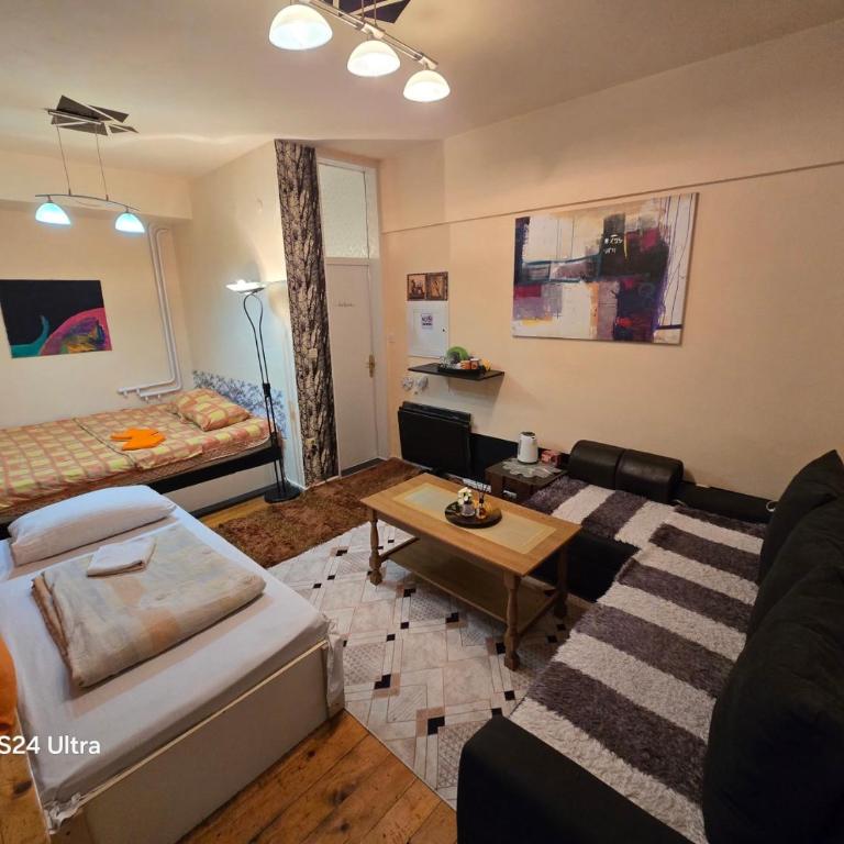Center Sarajevo Apartment 1 - Apartman sa 1 Spavaćom Sobom - 1