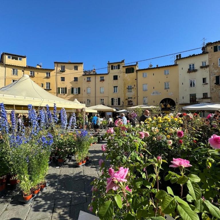 Alle Gardenie - Appartamento con 3 Camere da Letto - 60