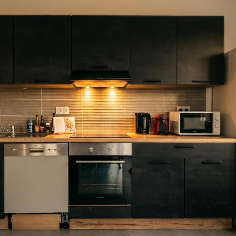 LE 41 - Grand T2 Climatisé - Spacieux & Central - Appartement 1 Chambre - 4