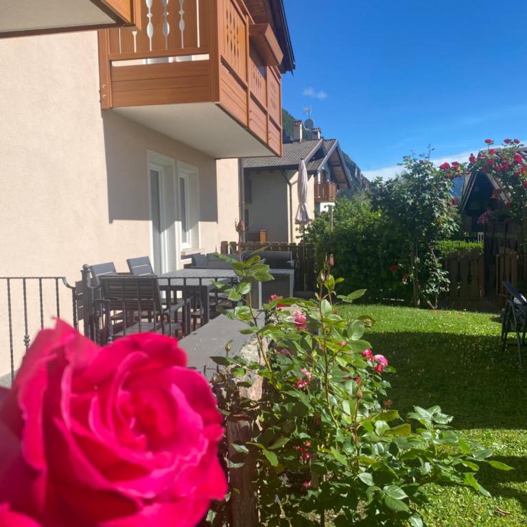 Casa Pallanch - Appartement 2 Chambres - 35